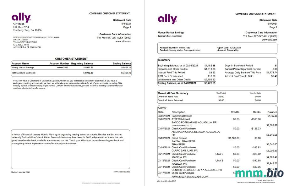 Szablon wyciągu bankowego USA Ally w formacie Word i PDF (4 strony)